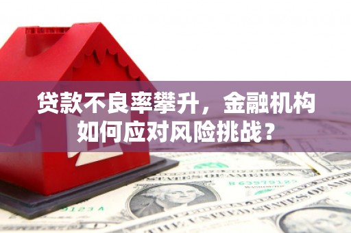 米易贷款不良率攀升，金融机构如何应对风险挑战？