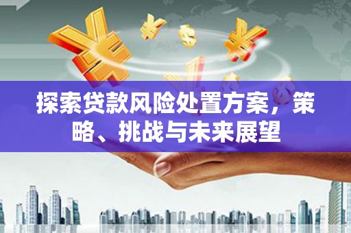米易探索贷款风险处置方案，策略、挑战与未来展望