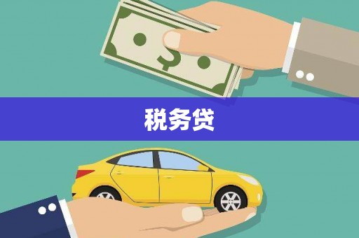 米易税务贷