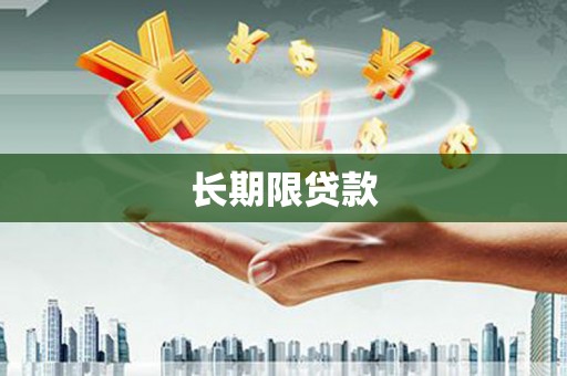 米易长期限贷款