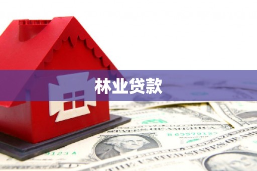米易林业贷款