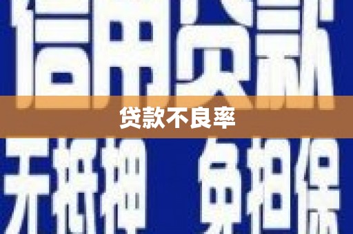 米易贷款不良率