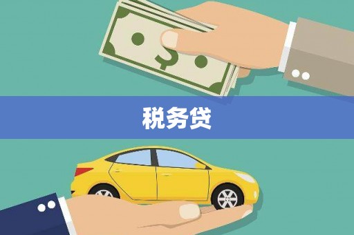 米易税务贷