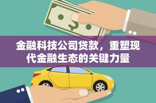 米易金融科技公司贷款，重塑现代金融生态的关键力量