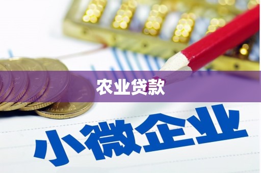 米易农业贷款