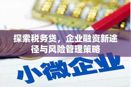 米易探索税务贷，企业融资新途径与风险管理策略