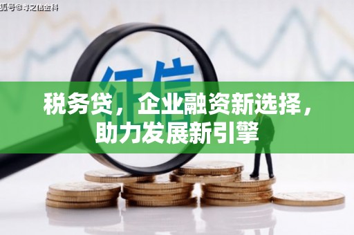 米易税务贷，企业融资新选择，助力发展新引擎