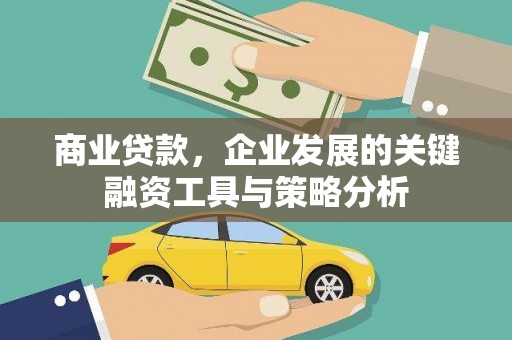 米易商业贷款，企业发展的关键融资工具与策略分析