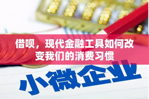 米易借呗，现代金融工具如何改变我们的消费习惯