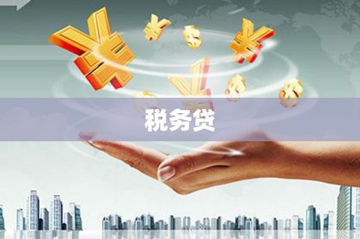 米易税务贷