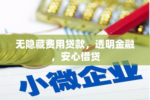 米易无隐藏费用贷款，透明金融，安心借贷