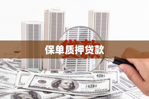 米易保单质押贷款