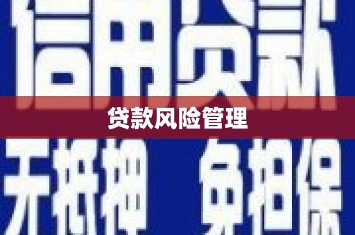 米易贷款风险管理