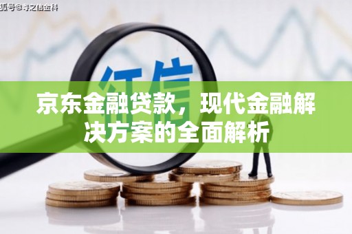 米易京东金融贷款，现代金融解决方案的全面解析