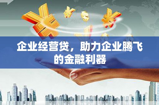 米易企业经营贷，助力企业腾飞的金融利器