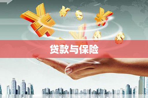 米易贷款与保险