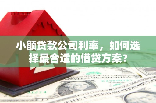 米易小额贷款公司利率，如何选择最合适的借贷方案？