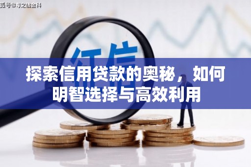 米易探索信用贷款的奥秘，如何明智选择与高效利用