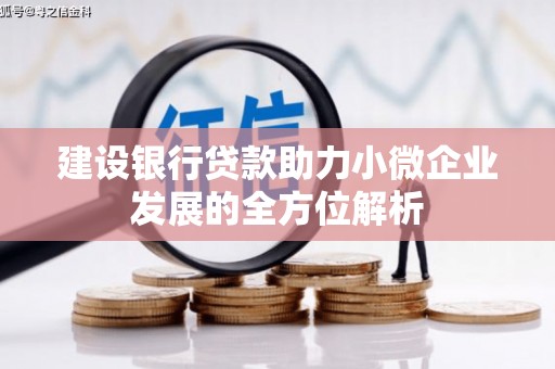 米易建设银行贷款助力小微企业发展的全方位解析