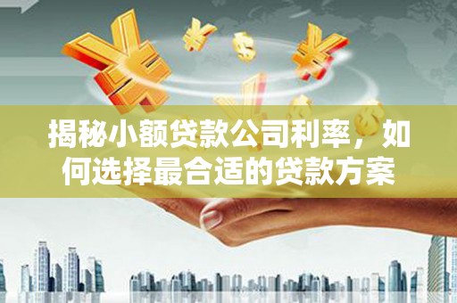 米易揭秘小额贷款公司利率，如何选择最合适的贷款方案