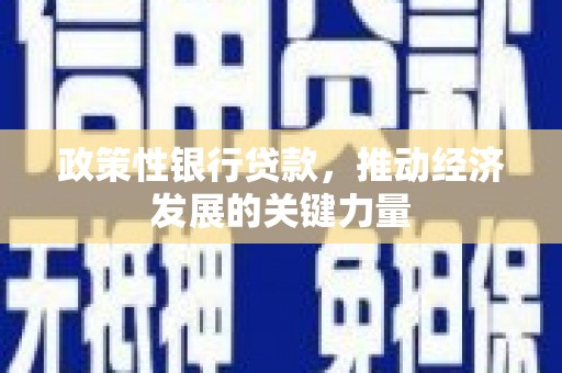 米易政策性银行贷款，推动经济发展的关键力量