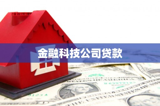 米易金融科技公司贷款