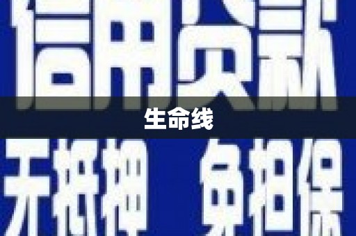 米易生命线