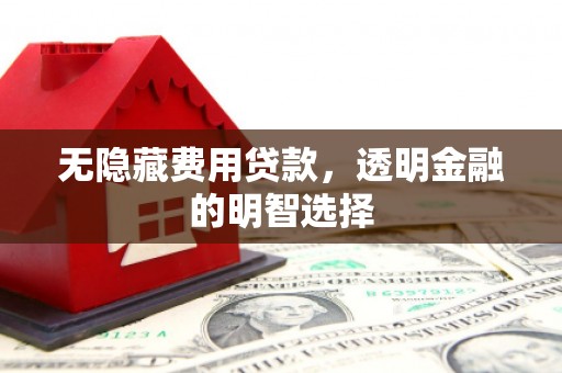 米易无隐藏费用贷款，透明金融的明智选择