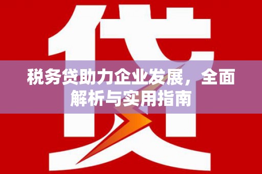 米易税务贷助力企业发展，全面解析与实用指南