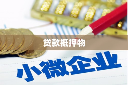 米易贷款抵押物