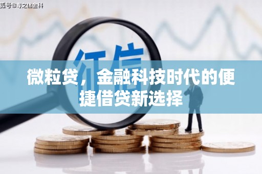 米易微粒贷，金融科技时代的便捷借贷新选择