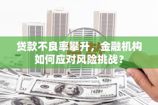 米易贷款不良率攀升，金融机构如何应对风险挑战？