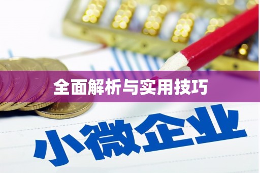 米易全面解析与实用技巧