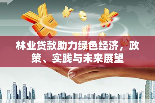 米易林业贷款助力绿色经济，政策、实践与未来展望