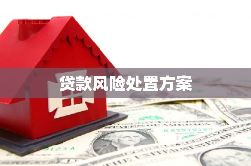 米易贷款风险处置方案