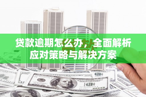 米易贷款逾期怎么办，全面解析应对策略与解决方案