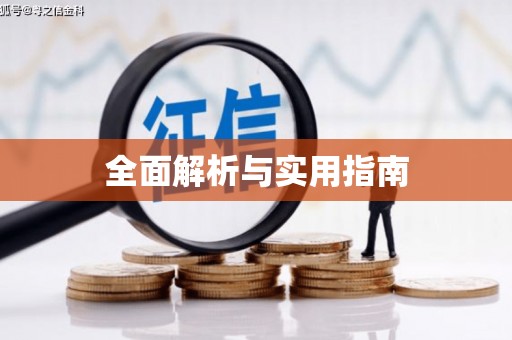 米易全面解析与实用指南