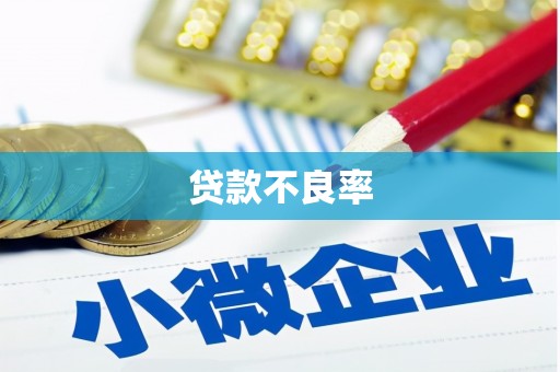 米易贷款不良率