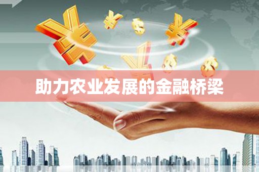 米易助力农业发展的金融桥梁
