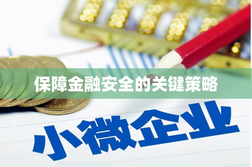 米易保障金融安全的关键策略